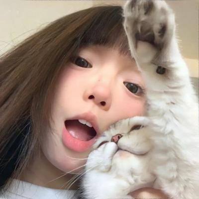 功夫兔与菜包狗第二季