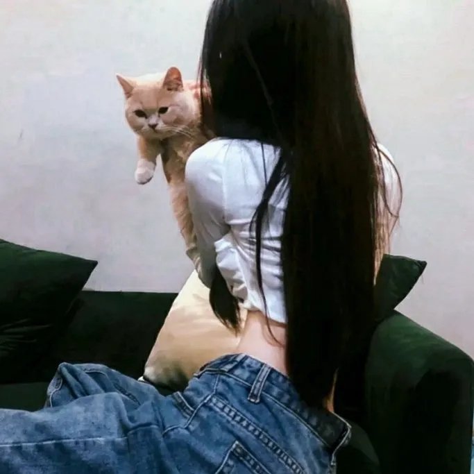 派特森与芬达猫